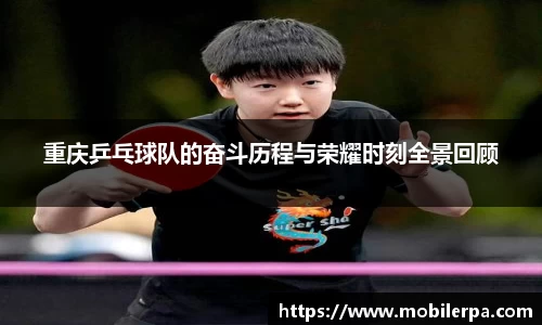 南宫NG28